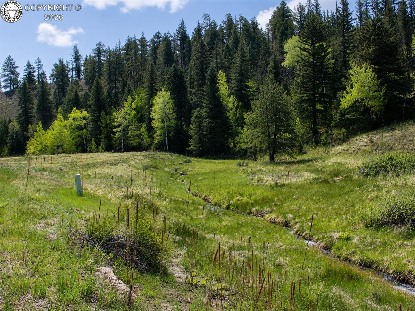 Land in Westcliffe 5