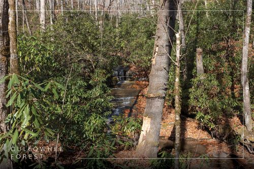 Lot 47 Cullowhee Forest Rd, Cullowhee, NC, 28723 | Card Image