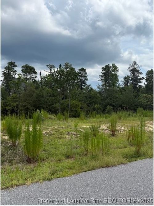 646 Pittfield Run, Cameron, NC, 28326 | Card Image