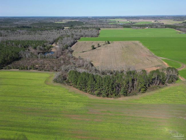 5400 Rockaway Creek Rd, Home with 0 bedrooms, 0 bathrooms and null parking in McDavid FL | Image 5