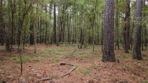 TBD County Road 405, San Augustine, TX, 75972 | Card Image