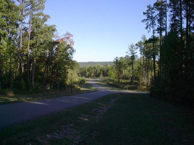 lot122 | Image 54