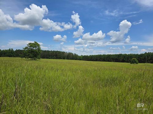 0 Langham Rd, Repton, AL, 36475 | Card Image