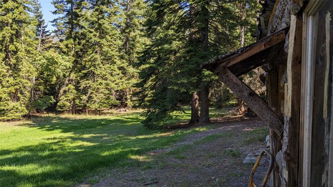 Homestead Cabin Front Yard View | Image 49