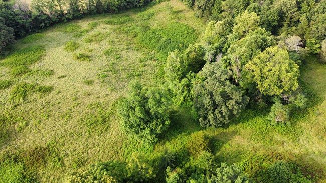 33.64 ac Davis Rd, Home with 0 bedrooms, 0 bathrooms and null parking in Livingston TN | Image 26