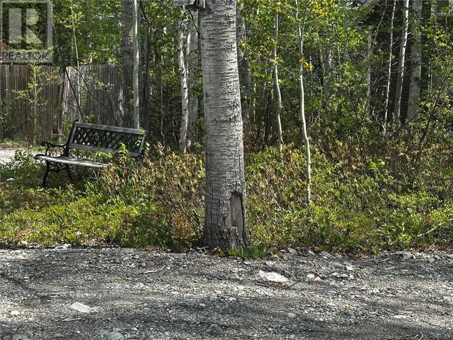 74 Crooked Lake Rd, Home with 2 bedrooms, 1 bathrooms and null parking in Badger NL | Image 8