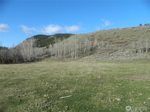 111 Tbd Ellemeham Mountain Ridge Road, Tonasket, WA, 98855 | Card Image