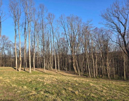 36 Stonecrest Dr, Grafton, WV, 26354 | Card Image