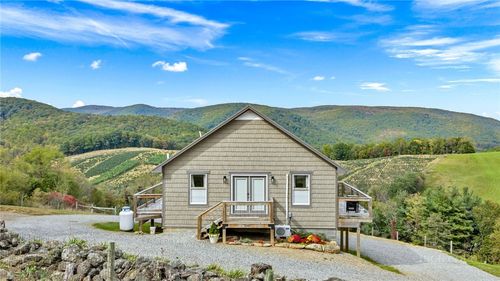 300 Rugby Creek Ln, Mouth of Wilson, VA, 24363-3687 | Card Image