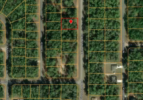1495 E Citrus Springs Blvd, Citrus Springs, FL, 34434 | Card Image