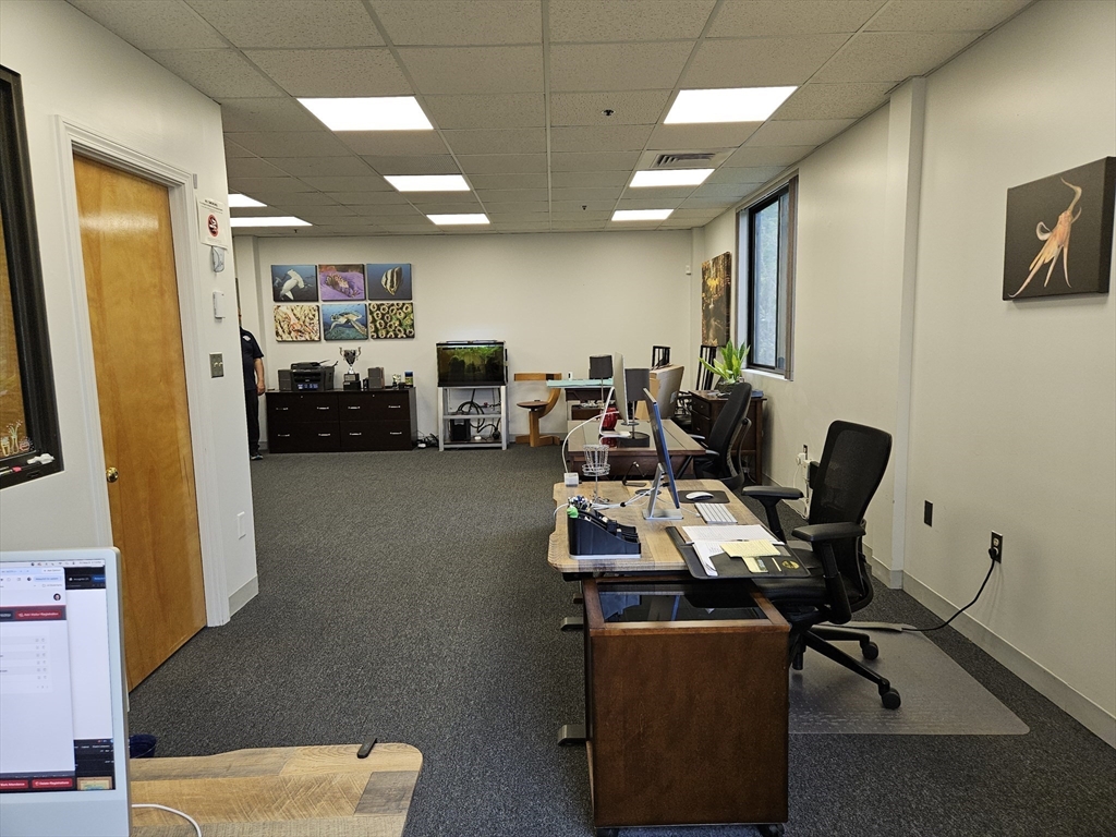 Commercial Lease in Ashland 3