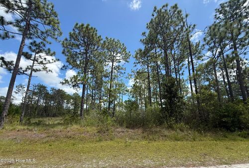 407 Sunset Rd, Boiling Spring Lakes, NC, 28461 | Card Image