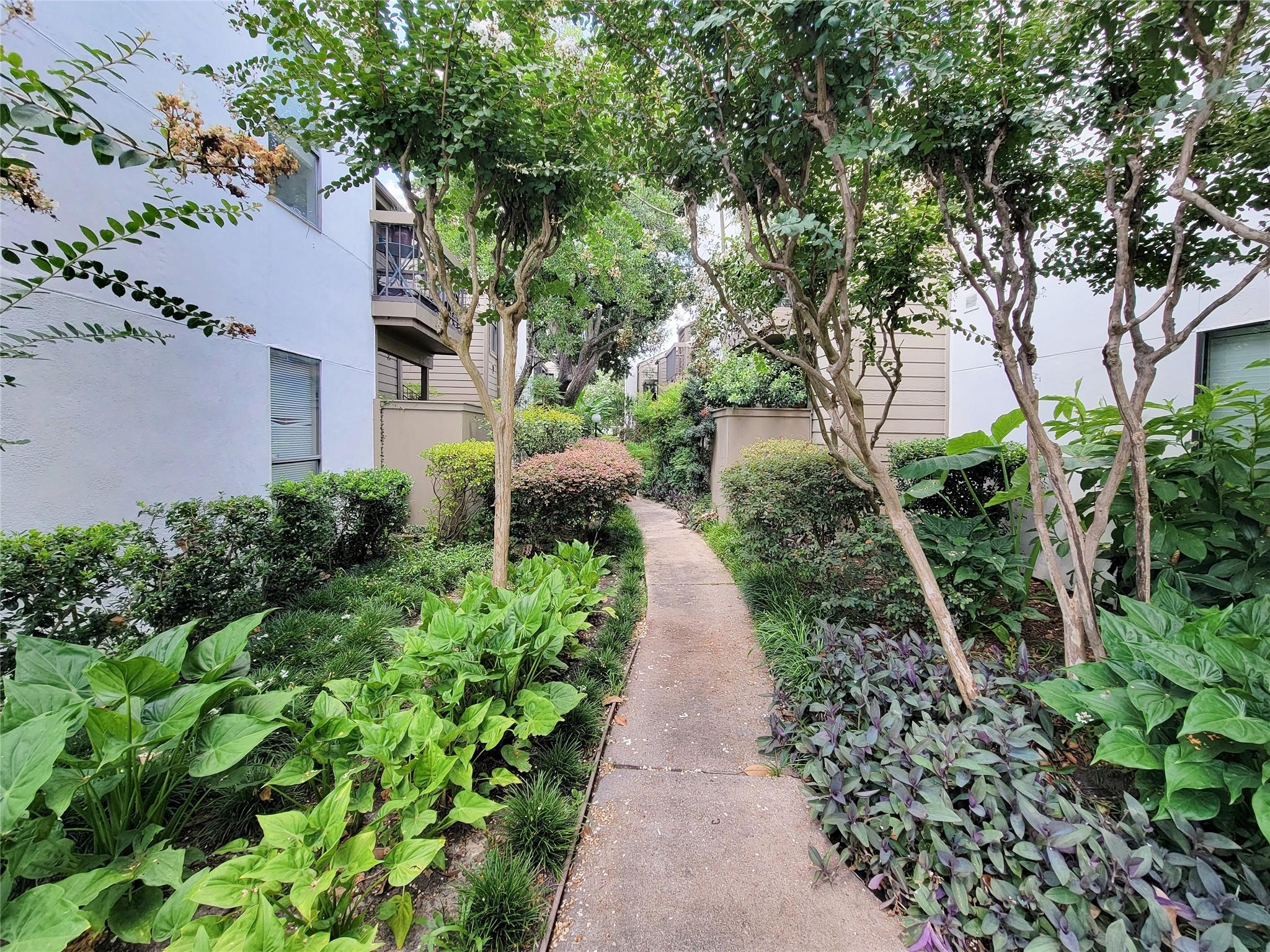Residential in Houston 2