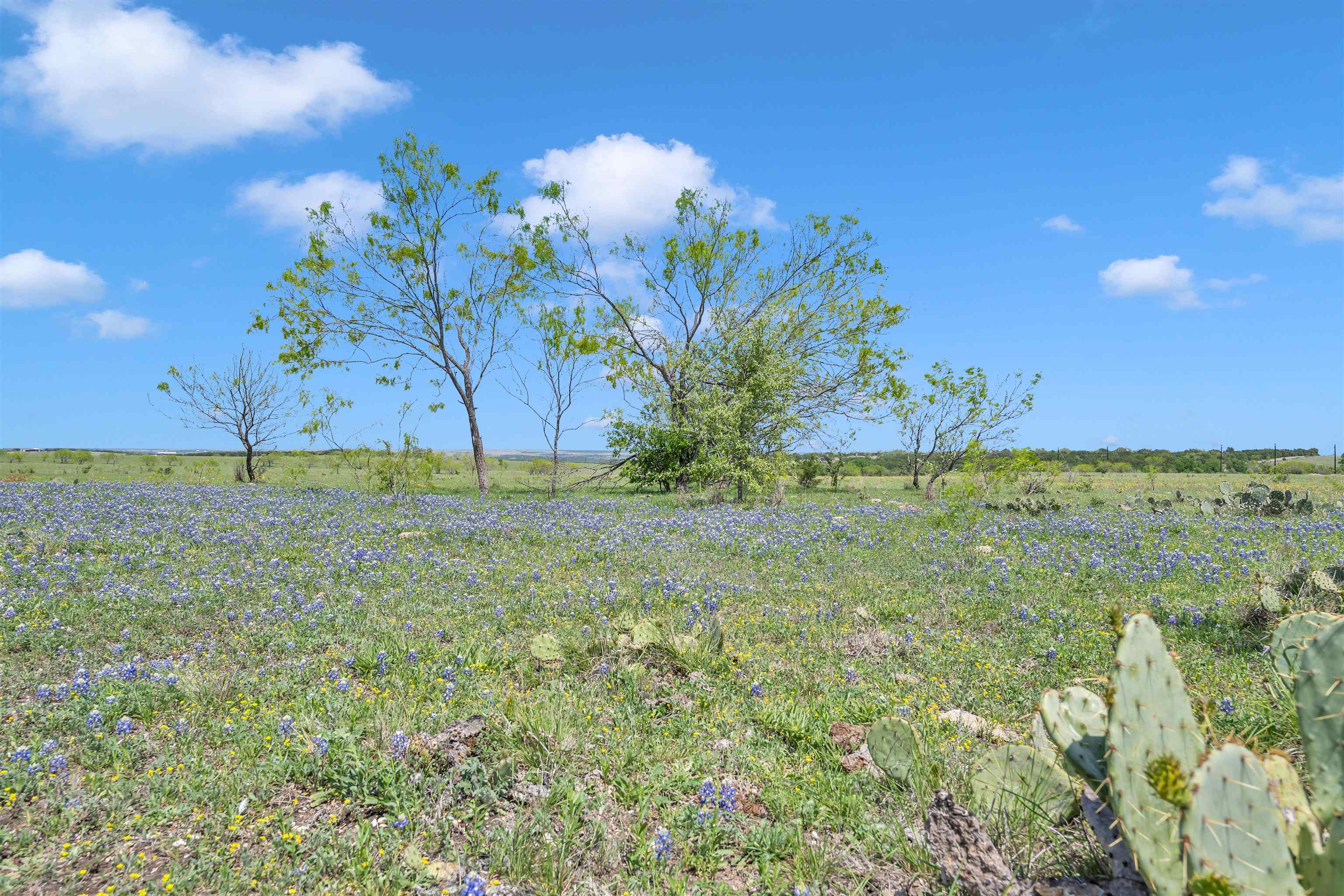 Farm in Burnet 5