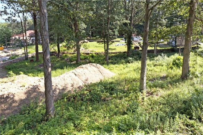 Back/Cleared Open Lot | Image 34