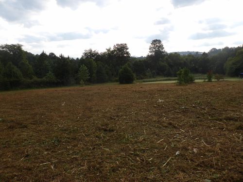 Lot 43 Meadow Vw Road, Pikeville, TN, 37367 | Card Image