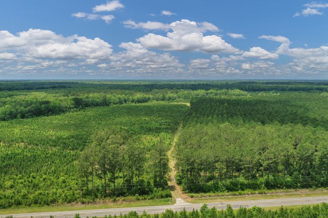DJI_0280 | Image 26