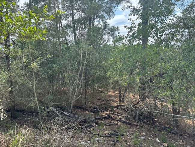 View of landscape | Image 10