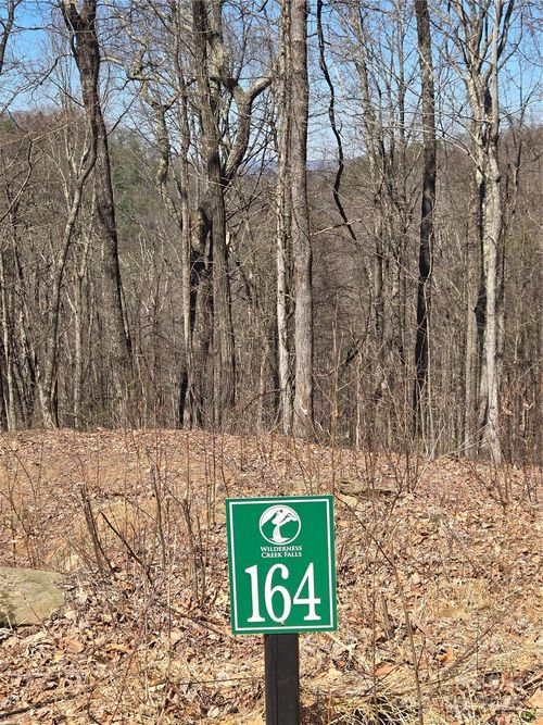 164-164 Wilderness Lake Dr, Murphy, NC, 28906-6456 | Card Image