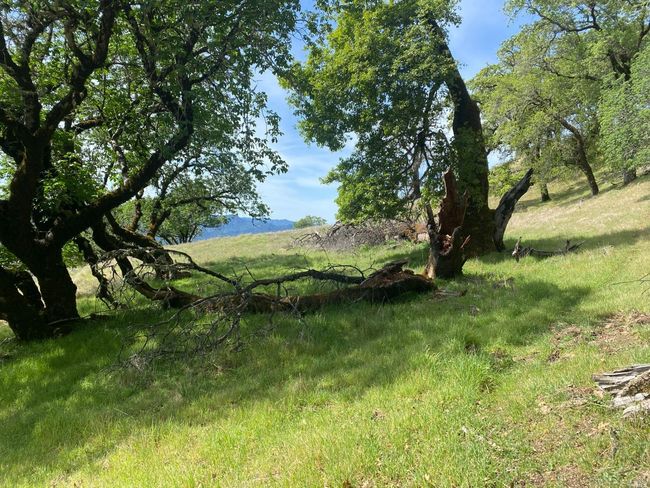 19010 Hulbert Rd, Home with 0 bedrooms, 0 bathrooms and null parking in Yorkville CA | Image 12