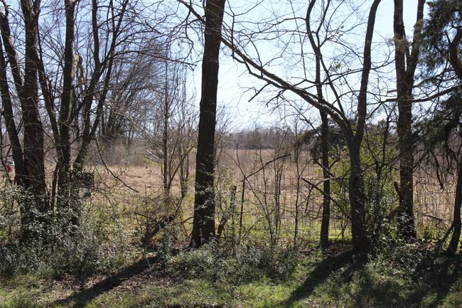 ESTIMATE OF WHERE THE PROPERTY STARTS ON THE NORTH SIDE | Image 9