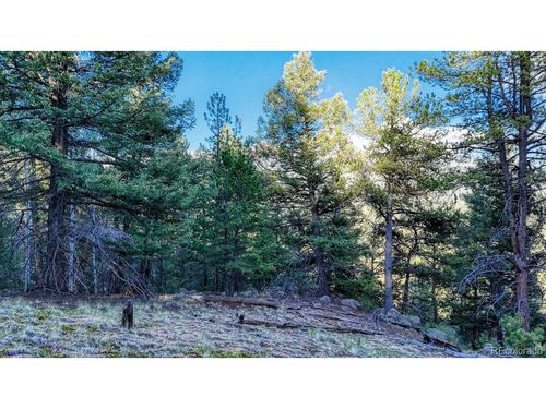 364 Blue Spruce Rd, Divide, CO, 80814-7701 | Card Image