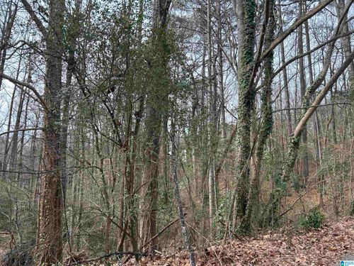 38-5455 Vicksburg Cir, BIRMINGHAM, AL, 35210-3042 | Card Image