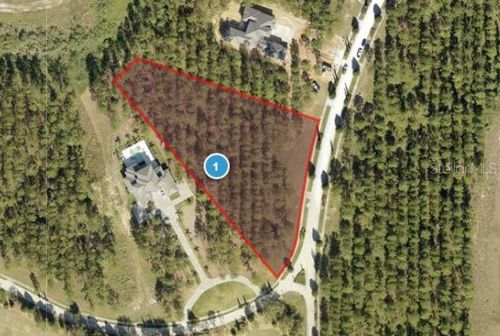 16216 Pendio Dr, BELLA COLLINA, FL, 34756-3650 | Card Image