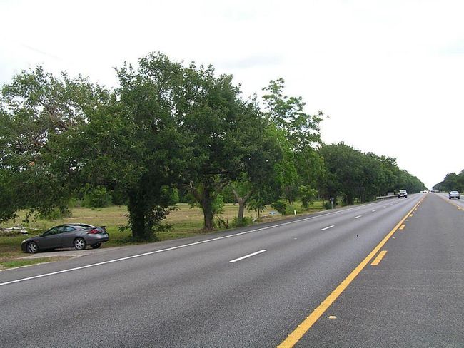 19402 E Highway 6, Home with 0 bedrooms, 0 bathrooms and null parking in Alvin TX | Image 5