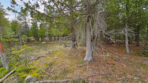 LT 255 Pedwell Pt Dr, Tobermory, ON, N0H2R0 | Card Image
