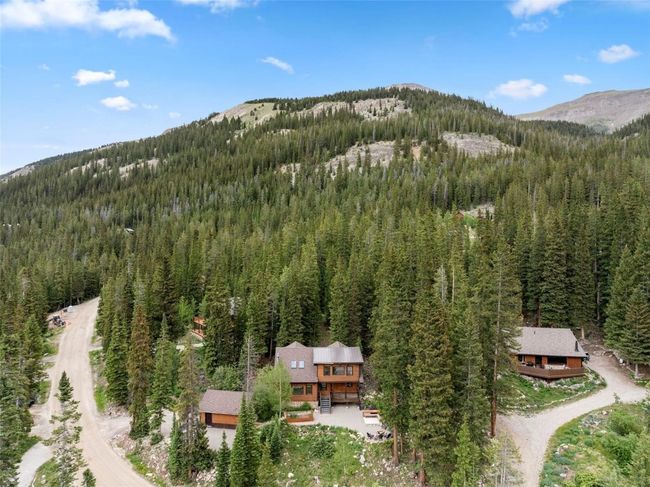 Aerial overview of property's location featuring a heavily wooded area and a mountainous background | Image 43