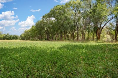 0 Wallace Lane, Home with 0 bedrooms, 0 bathrooms and null parking in Corrales NM | Image 3