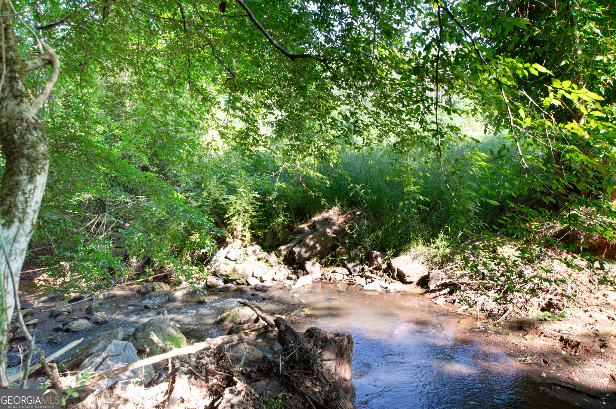 Land in Monticello 4