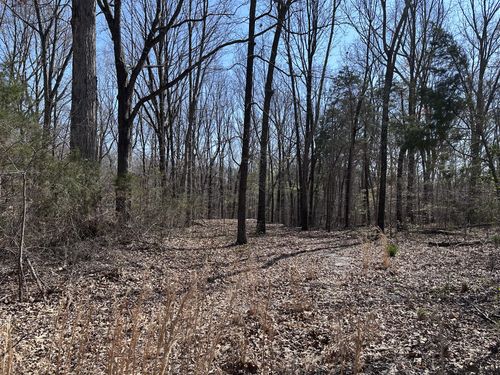 0 Campbell Rd, Cross Plains, TN, 37049 | Card Image