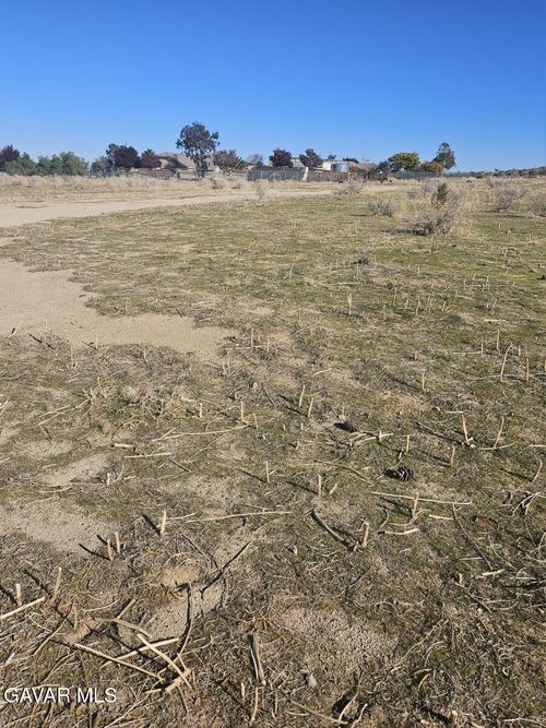 111 Ste Drt Vic V14 Ste, Pearblossom, CA, 93553 | Card Image