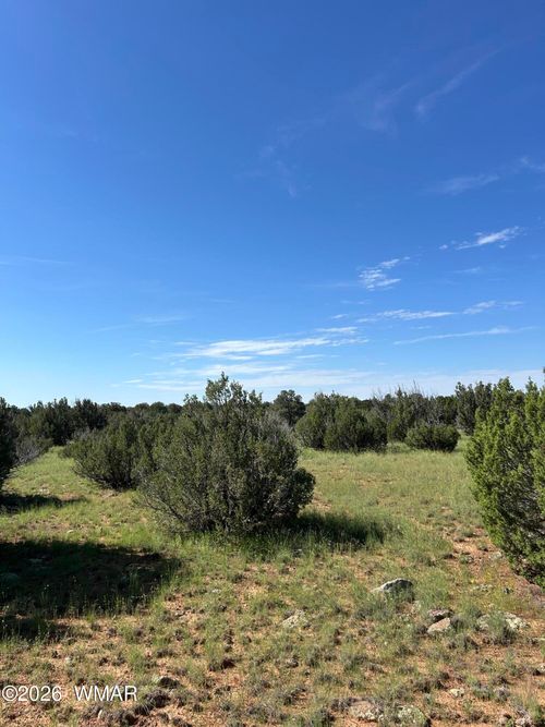 Lot 1933 Mills Ln, Concho, AZ, 85924 | Card Image