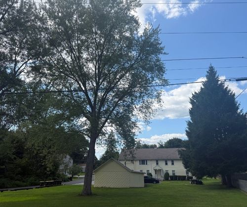 14 Link St, Bellingham, MA, 02019-2564 | Card Image
