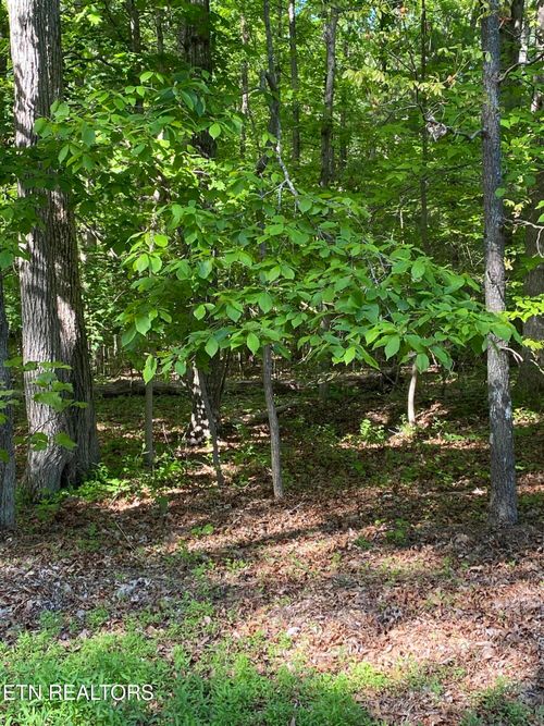 4035 Kila Dr, Crossville, TN, 38572-3543 | Card Image