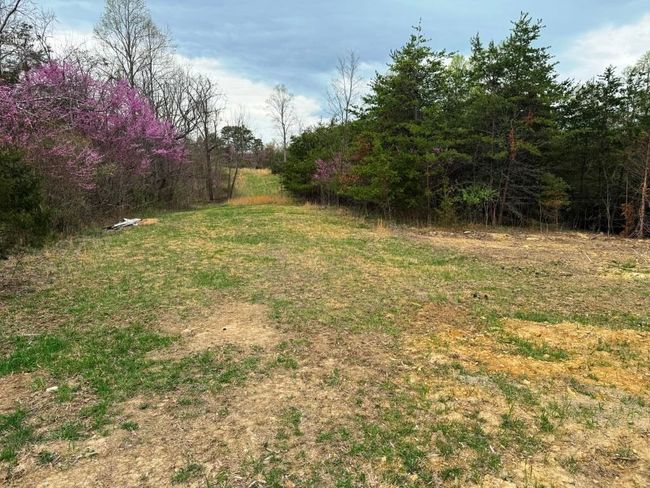4470 Raspberry Ln, Home with 0 bedrooms, 0 bathrooms and null parking in Pulaski VA | Image 21