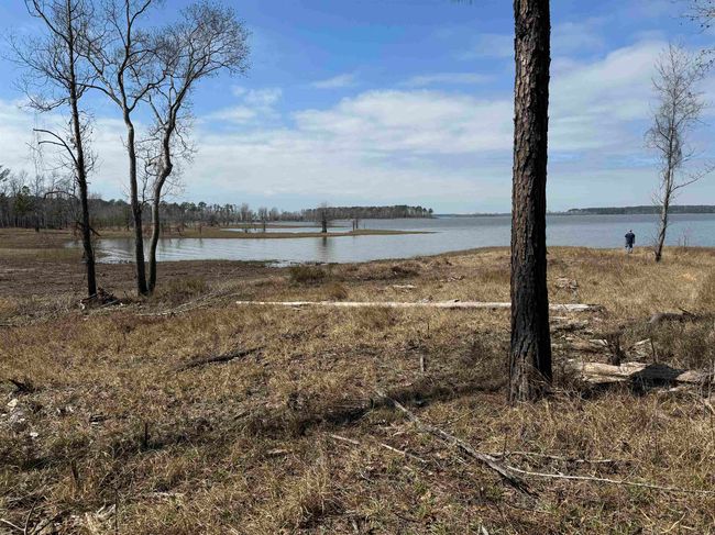 TRACT-1-24 - 024 Private Road 6028, Home with 0 bedrooms, 0 bathrooms and null parking in Brookeland TX | Image 9