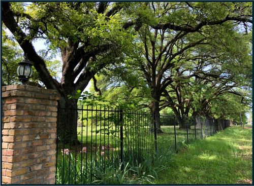 LOT 1 Angel Oaks, Shreveport, LA, 71109 | Card Image