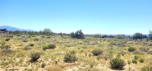 306-46-009T W Round Up Drive, Golden Valley, AZ, 86413 | Card Image