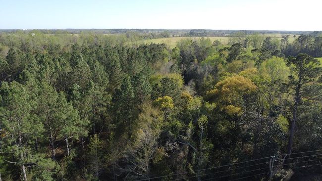 5.59 Ac Coffee Rd, Home with 0 bedrooms, 0 bathrooms and null parking in Morven GA | Image 5