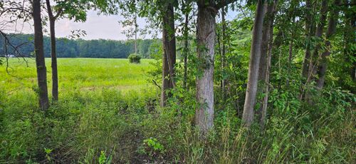 Vacant Irwin Parcel C, Richmond Township, MI, 48062 | Card Image