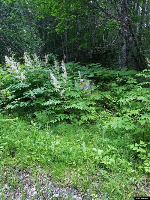 lot-9-north-chilkat-subdi-nhn Skedadle Road, Haines, AK, 99827 | Card Image