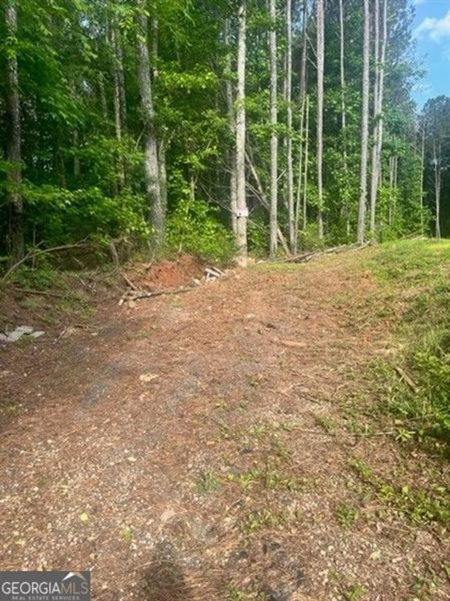 606 - 0 Watts Rd, Home with 0 bedrooms, 0 bathrooms and null parking in hiram GA | Image 7