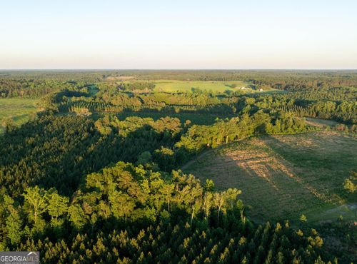 004 Beulah Road Tract 4, Sylvania, GA, 30467 | Card Image