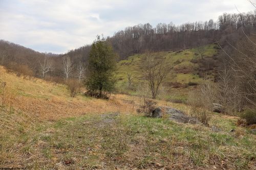 TBD Mudlick Run Road, Fairmont, WV, 26554 | Card Image