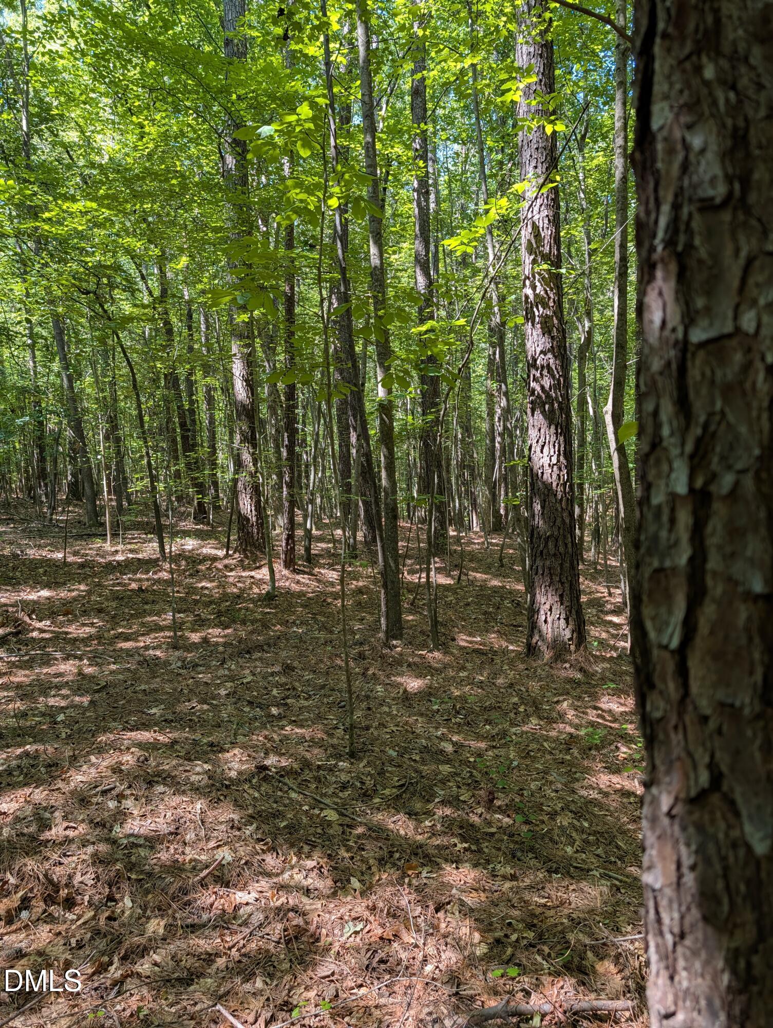Land in Roanoke Rapids 2