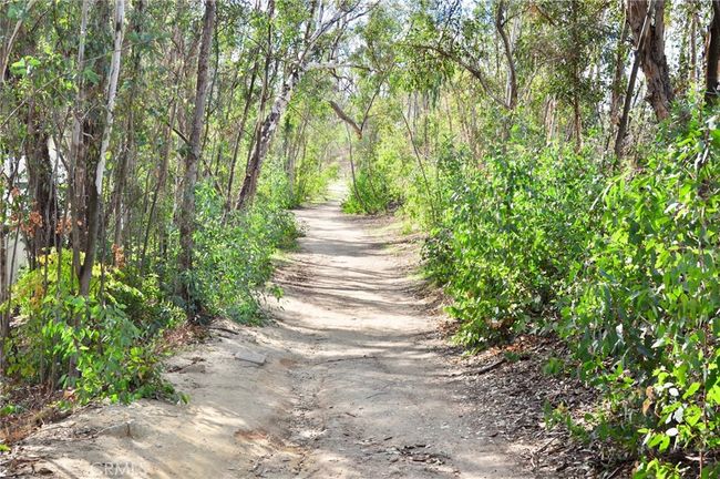 Beautiful trails. | Image 39